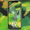 唐心zhong最新版